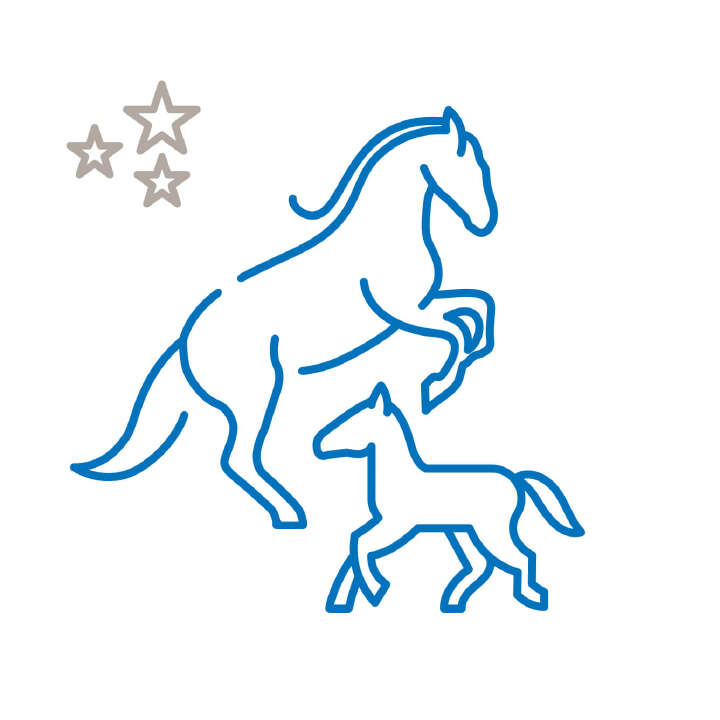 anwendungsbereich pferdetyp kategoriebild icons